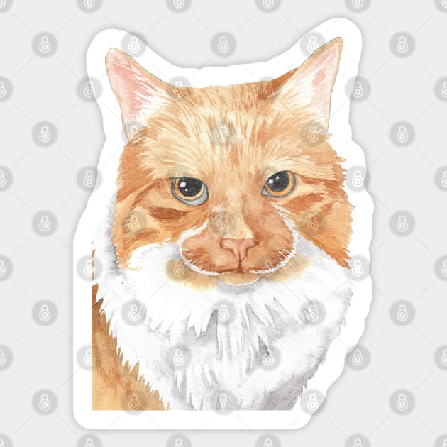 orange cat watercolor portrait Sticker by Oranjade0122